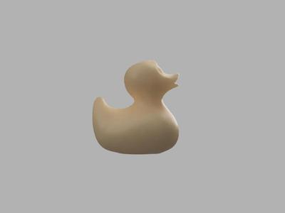 Rubber Duck
