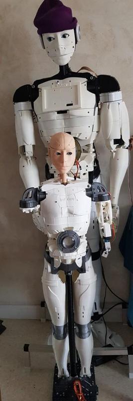 InMoov Petit de 1M20 