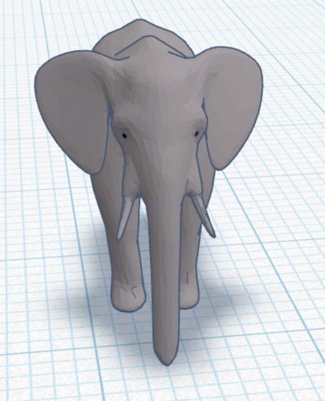 elephant
