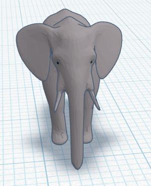 elephant
