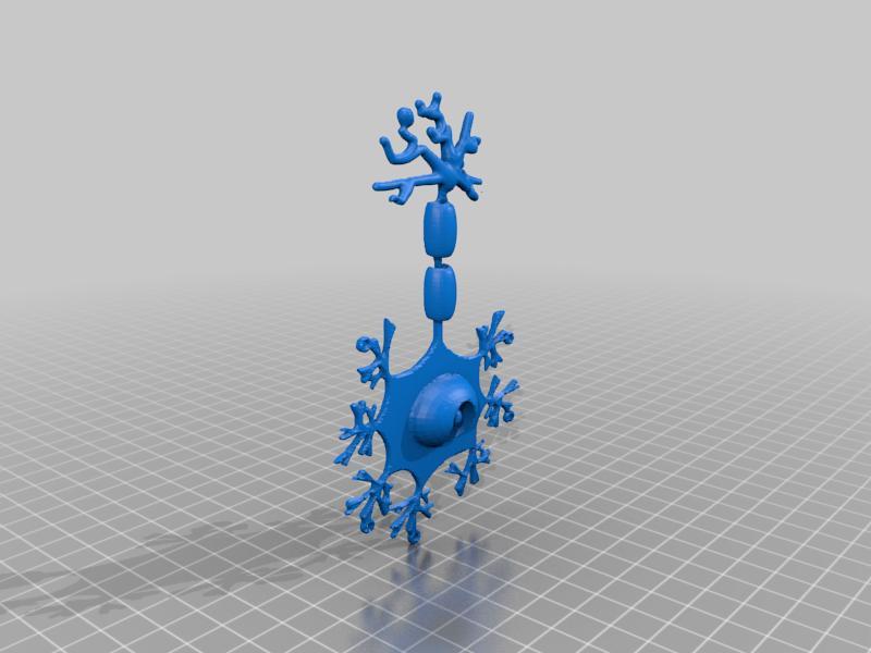 Neuron Model