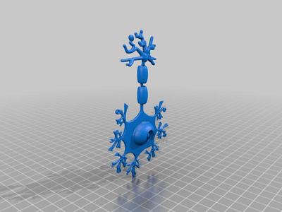 Neuron Model