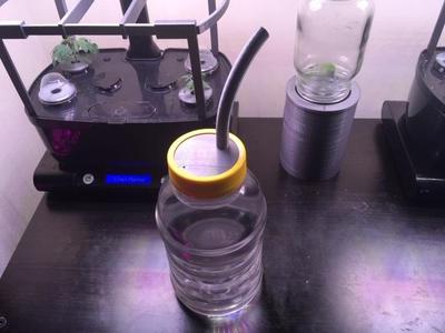 Nozzle for watering plants