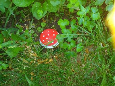 Slug trap