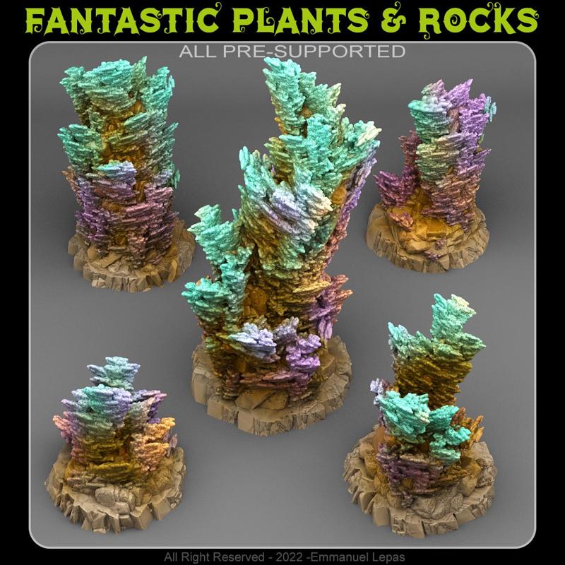 FAIRY KINGDOM CORAL