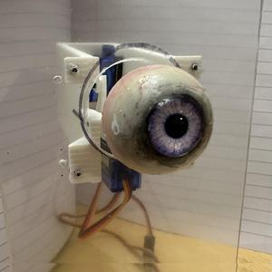 Moving Single Eye
