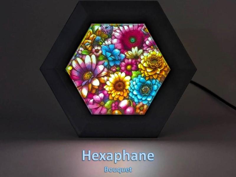 Flower Collection For Hexaphane Display System