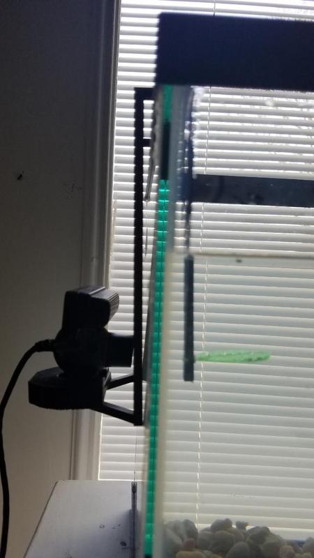 Beta Fish camera and hammock