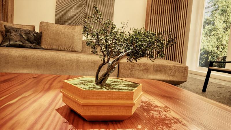 Hexagonal Old Style Bonsai Planter