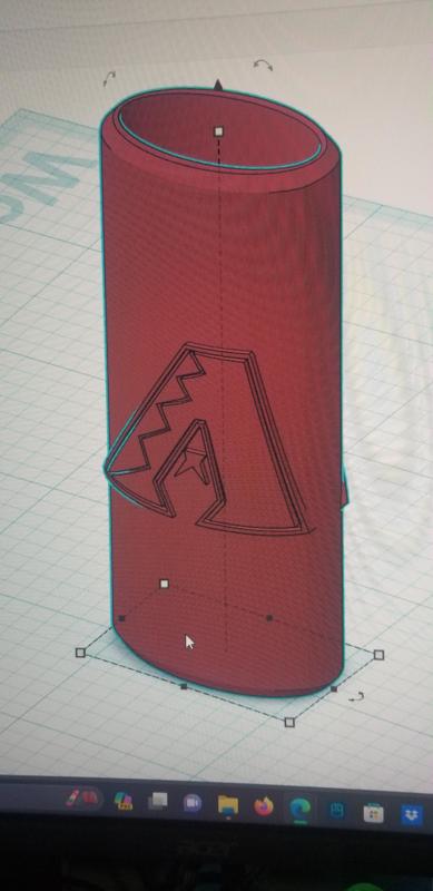 Bic Lighter Case D-Backs