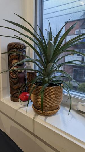 Vase - FLower Planter