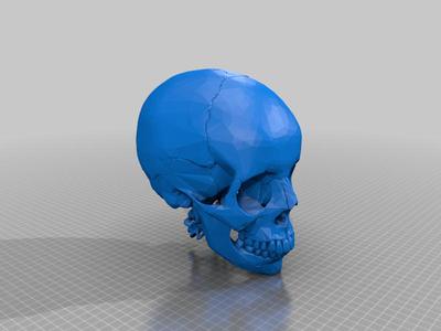 Skull