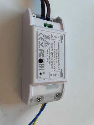 wifi smart switch module MS-101 cover