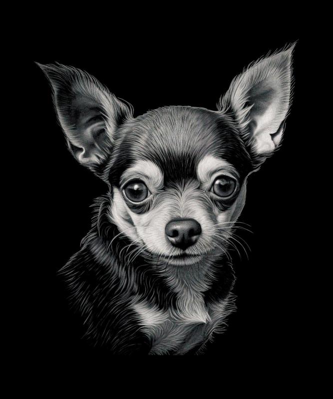 Chihuahua Portrait - Hueforge Dog Art