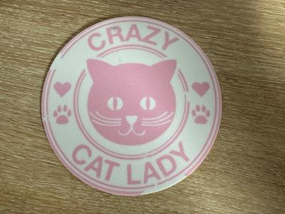 Coaster Crazy cat lover