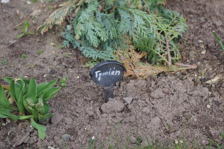 Plant tag