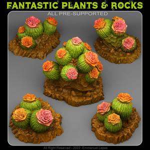 CACTUS FLOWERS