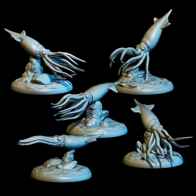 Cordoba Squid Pack (5)