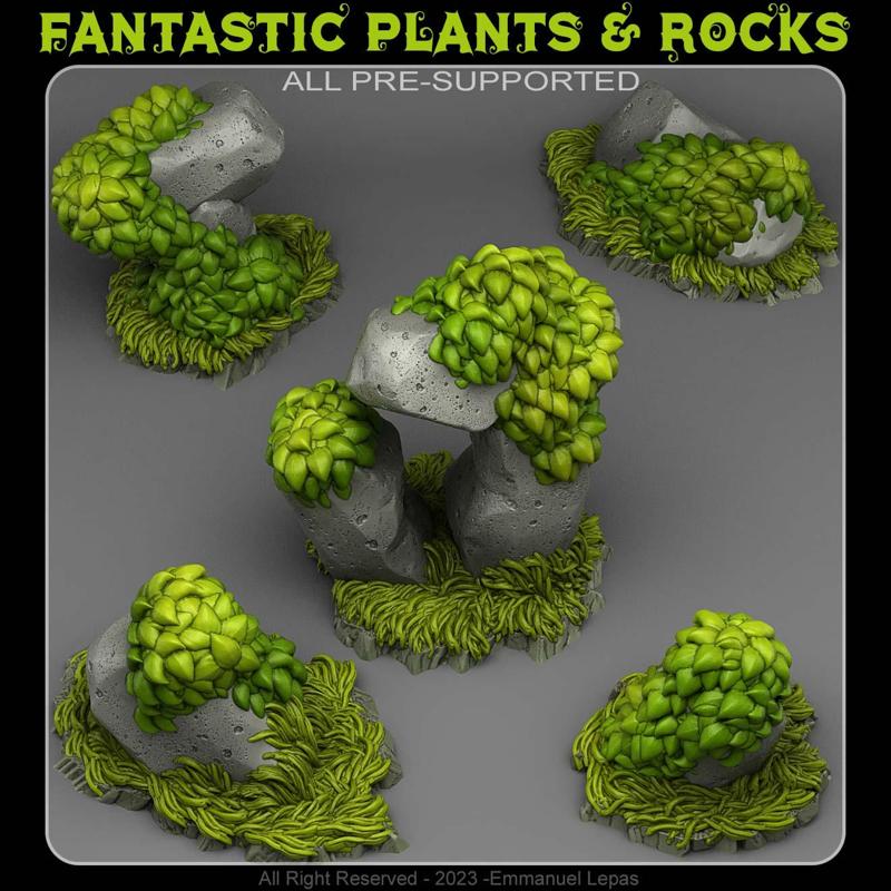 GRASSY ROCKS