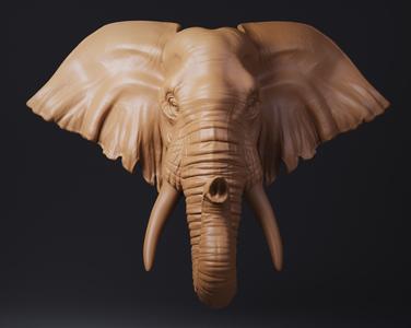Elephant Head