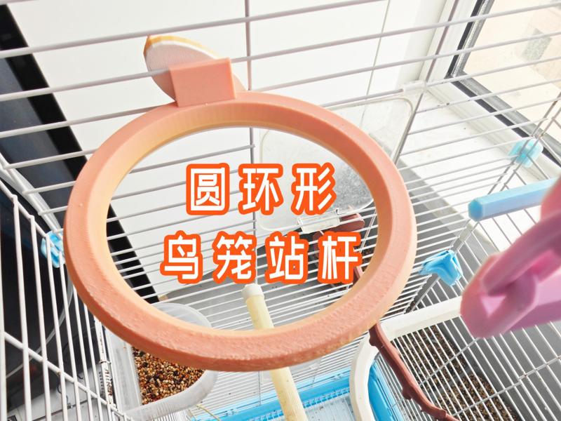 Circular Birdcage Perch for Parrots