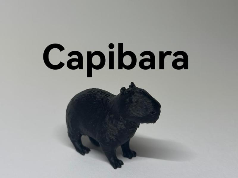 Capibara