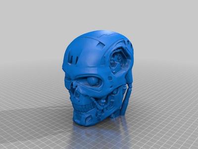 T800 Terminator EndoSkull
