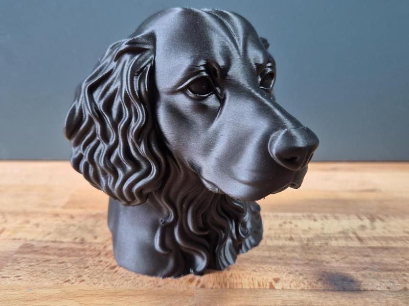 Boykin Spaniel Bust
