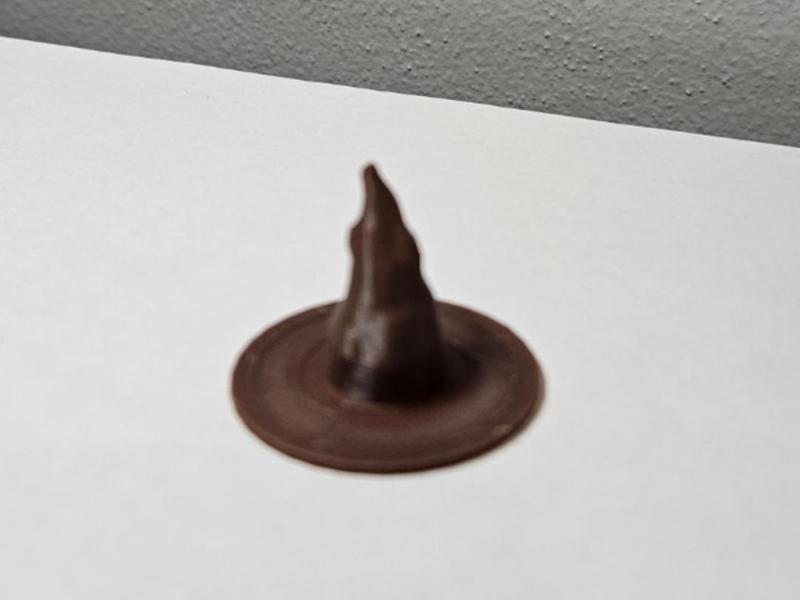 Wizard or Witch Hat