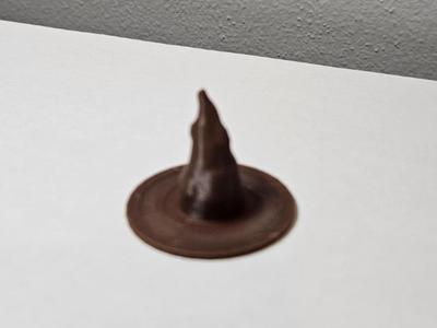 Wizard or Witch Hat