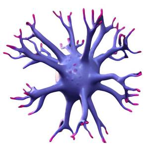 Colorful Neural Network