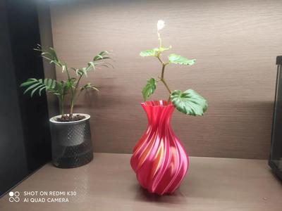 Aesthetic Vase