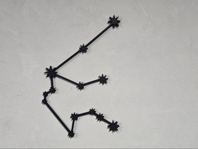 Constellation Aquarius ( aquarius )