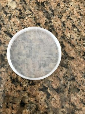 Cat Food Lid