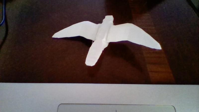 Science Fair Project Raptor Models and Parts of Launcher