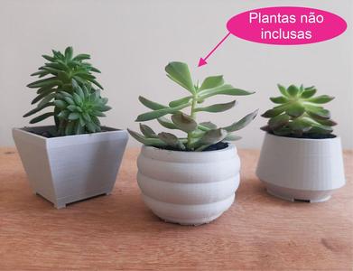 3 Vasos for Suculunt