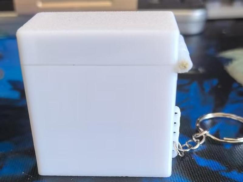 NP-BD1 Camera Battery Case