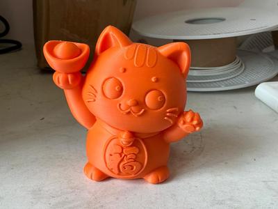 Lucky Cat Orange Cat Kitten Cat