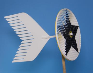 Moire Pinwheel