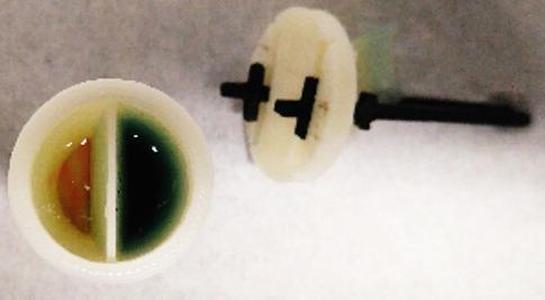 cap for electrolysis