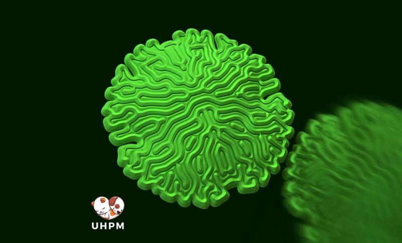 🌀🔍 Round Maze Challenge your Dexterity and Creativity! 🔍🌀