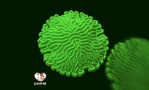 🌀🔍 Round Maze Challenge your Dexterity and Creativity! 🔍🌀