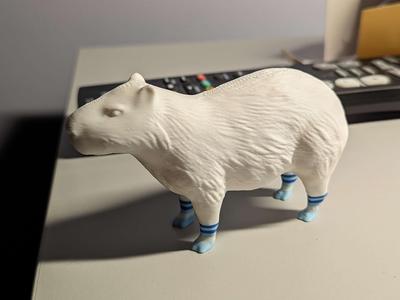 Capybara with Socks (or without)