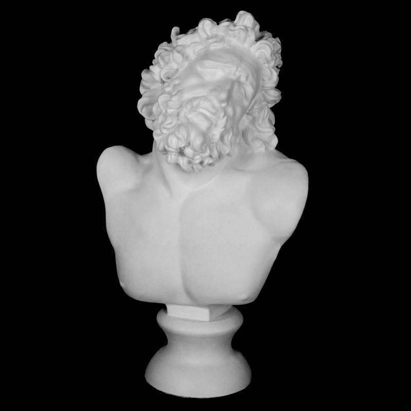 Head of Laocoon at The Réunion des Musées Nationaux, Paris