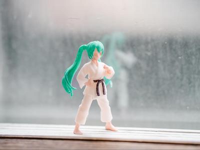 Hatsune Miku Karate