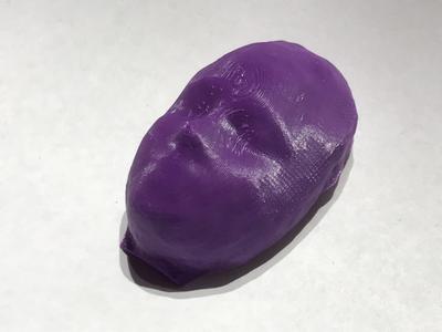 3D scan sans title 2017-10-04