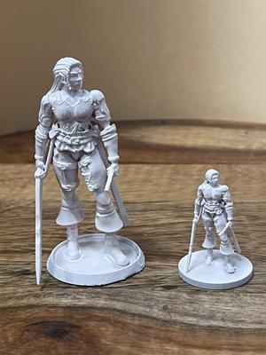 Dual Wielding Female Elven Ranger d&d elf