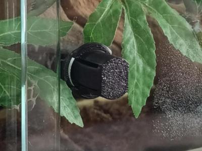 Replacement Vivarium Door Plug/Stopper