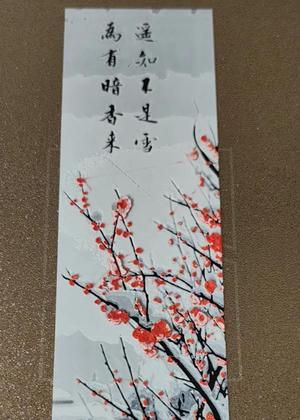 A distant fragrance betrays its presence, not snow;  Winter plum blossoms, hardy plum blossoms, bookmark