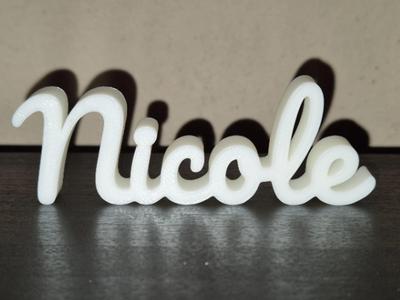 Nicole Name Sign Display Decor